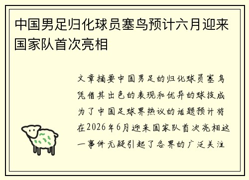 中国男足归化球员塞鸟预计六月迎来国家队首次亮相